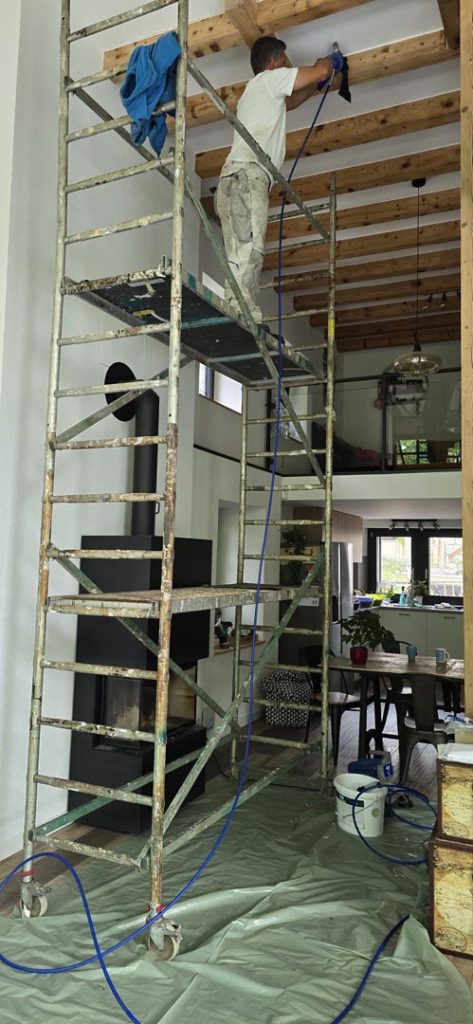 traitement contre les termites du bois