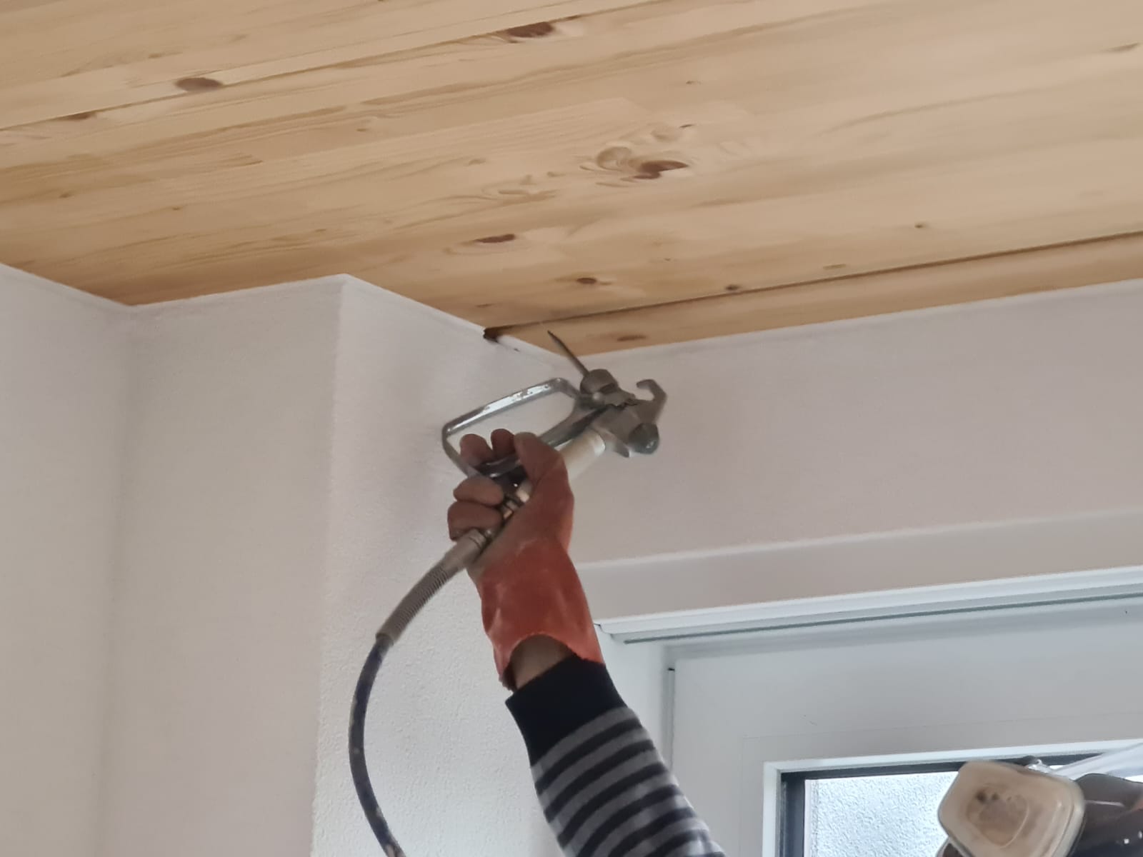 mite de bois traitement