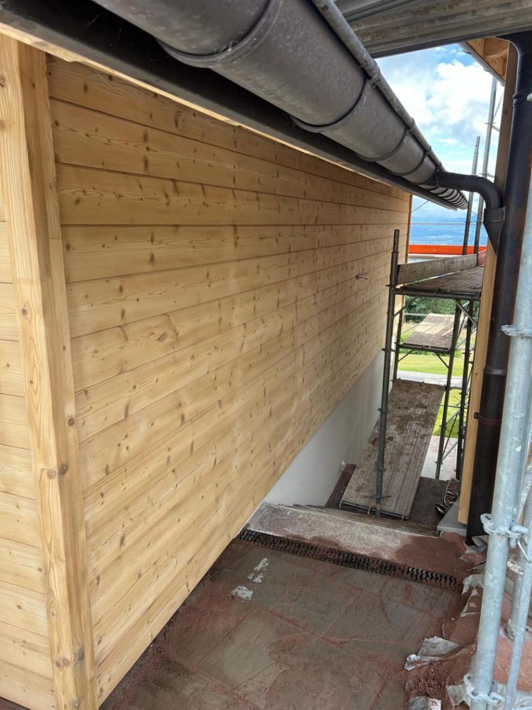 traitement fourmis charpentières